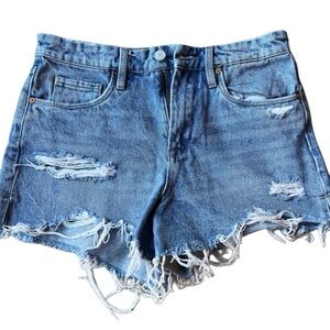 BLANKNYC The Barrow Rigid High Rise Distressed Denim Shorts Size 28 Cutoff Fraye